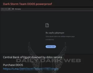 Central Bank of Egypt