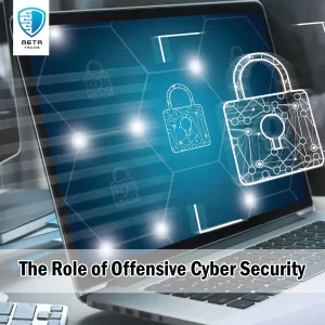 The Role of Offensive Cyber Security
