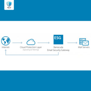 Barracuda Email Security Services & Solutions
